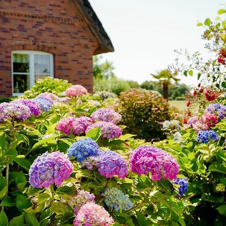 Litzkow 14203 Vakantiehuis Morsum (Sylt)